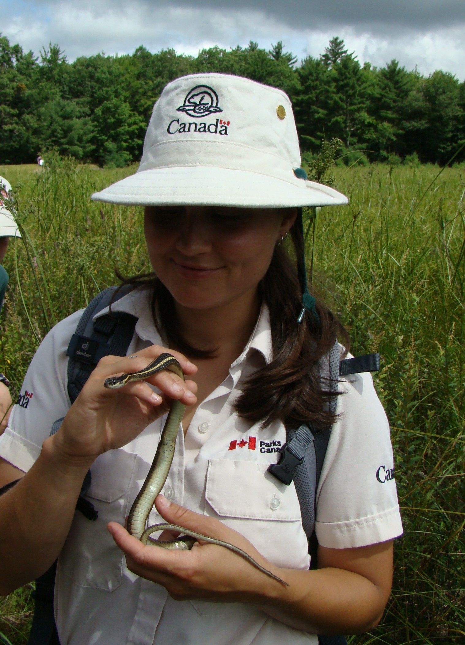 Environmental Science Jobs Near Me RankTechnology